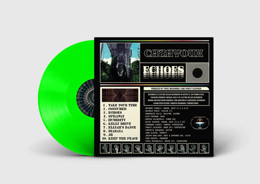 Echoes Vinyl